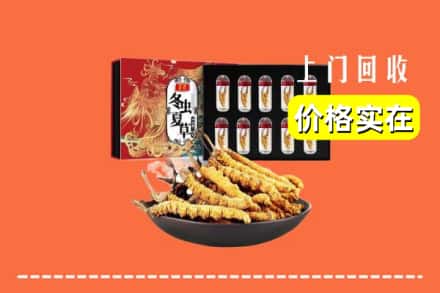 南充高坪区回收冬虫夏草